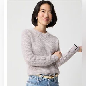 J. Crew Women's Crew Neck wool Sweater